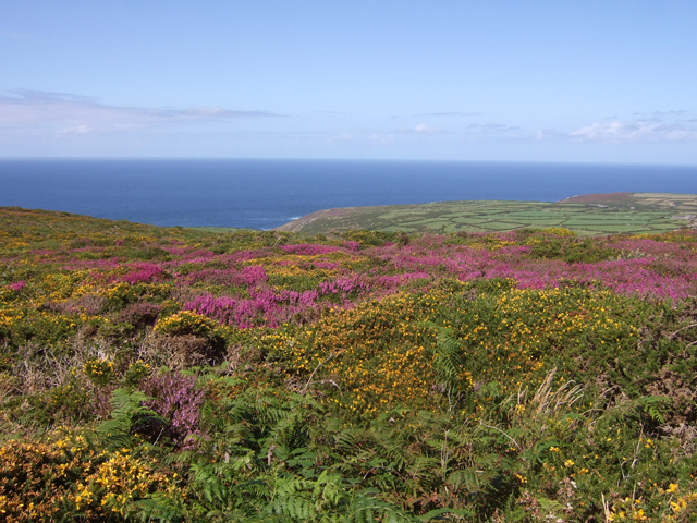 View from the Carne